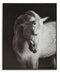 Ashley Archerwick Horse Wall Art in Black & White-Washburn's Home Furnishings