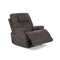 Flexsteel Zecliner Model 2+ Fabric Power Lift Recliner w/Power Headrest, Lumbar, Heat & Massage in Umber-Washburn's Home Furnishings