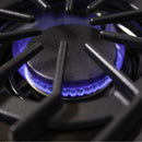 Viking 5 Series 30" Freestanding Gas Open Burner Professional Range - Stainless Steel-Washburn's Home Furnishings