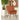 Accent Chair - Brown-Washburn's Home Furnishings
