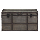 Amsel - Gray - Storage Trunk-Washburn's Home Furnishings