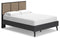 Charlang - Black/gray - Full Panel Platform Bed-Washburn's Home Furnishings