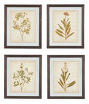 Dyani - Brown - Wall Art Set (4/cn)-Washburn's Home Furnishings