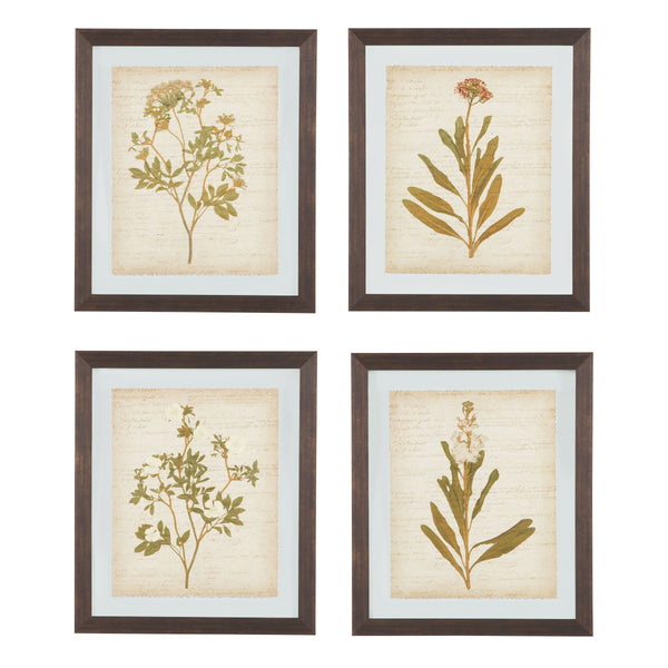 Dyani - Brown - Wall Art Set (4/cn)-Washburn's Home Furnishings