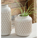 Edwinna - Cream - Vase Set (2/cn)-Washburn's Home Furnishings