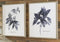 Efren - Blue - Wall Art Set (2/cn)-Washburn's Home Furnishings