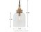 Faiz - Transparent - Glass Pendant Light (1/cn)-Washburn's Home Furnishings