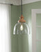 Farica - Transparent - Glass Pendant Light (1/cn)-Washburn's Home Furnishings
