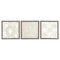 Odella - Cream/taupe - Wall Decor Set (3/cn)-Washburn's Home Furnishings